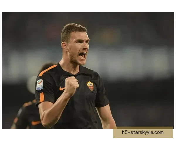 哲科到理查森佛罗伦萨转会轨迹