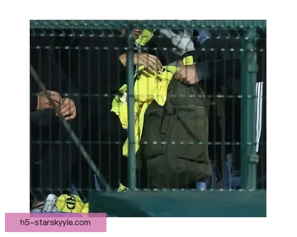 德国联赛足协举行反纳粹纪念