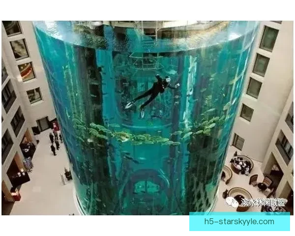 今日体坛要闻纵览全球赛场风云